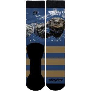 Monterey Sea Otter Brown Stripes Socks